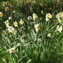 지오헤어 이미지