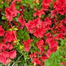 연학목장 이미지