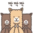 육회미가 네이버블로그