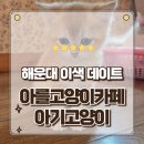 바람난고양이 | 부산 해운대이색데이트 신상핫플 달맞이길 아를고양이카페 심쿵힐링 후기