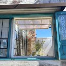 RA'unge(라운지게스트하우스) | 거제 소품샵 라운지앤코너(ra.unge &amp; corner)