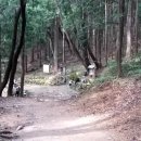 찬물샘약수터 이미지