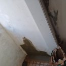 남촌도림동-9 이미지