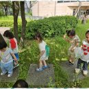 햇살자연어린이집 이미지