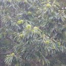 석모도 이야기 이미지