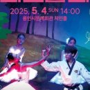 비바츠LED 태권발레 이미지