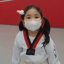 국가대표 영웅 태권도 이미지