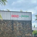 스누즈앤핍스(SNOOZE&PEEPS)