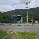 진호식품 | 장유 착한낙지, 김해 장유 낙지볶음 낙지파전 맛집 방문 후기