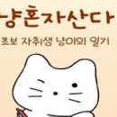 냥마켓 인사이트