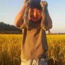 신전원일기 이미지