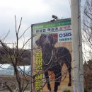 하늘이네 농장 이미지