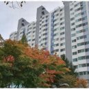 더나은부동산중개사무소 이미지