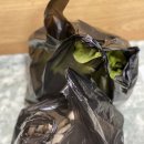 새하림각 이미지