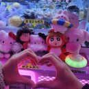 둥지노래연습장 이미지