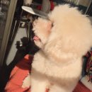 스페이스바이샤샤 이미지