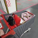 부자세탁 | 결혼식 끝나고 길에서 운 사람이 시그니엘에서 힐링하는 후기 / 송파 방이동 고기 부자등심