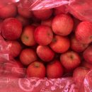 풍운농장 이미지