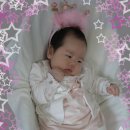 이채원 카카오 검색결과