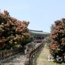 쪽빛언덕 이미지