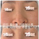 에쉘뷰티