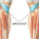 신주례태권도체육관 이미지