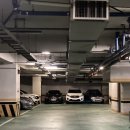 블라썸펫 이미지