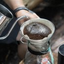 커피향기 - 광명시 영당안로36번길 27 | 제주 향기숲 투어 후기 현지인도 잘 모르는 비밀 숲에서 커피와 힐링