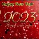 Hape NewYear -2023 이미지