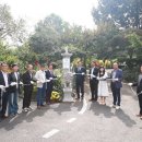 꽃이랑나무랑 이미지