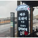 제주무릉도원집 이미지