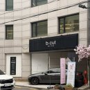 자연보호헌장비 | [논현] 비컷 논현점 현지디렉터님 퍼스널헤어 톤다운 염색 만족후기