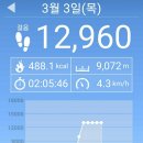 우보천리한우한돈 | 청주 무심천 벚꽃길 걷기, 집에서 3월 3일 삼겹살데이 한돈 삼겹살 항정살 가브리살 먹고 볶음밥 후기