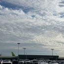 픽미업&폴라스튜디오(수송점) | [Daily]주말 일상 주워담기(풀 출근+리턴즈 대학생)