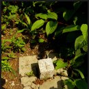 육백산골