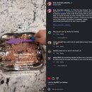 2173 | #2173. 반려견의 육체적 정신적 건강을 위한 핥기의 과학 'IntoFlow'