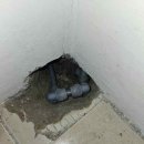 모든 누수탐지 설비 이미지