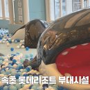 속초 롯데리조트 30개월 아기랑 라라키즈어드벤처 키즈카페 알구펍 기프트샵 이용후기