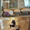 모텔마이웨이 이미지
