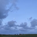 오성2목장 이미지