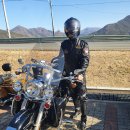 성화축산 Daum카페