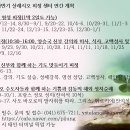 매일의 꾸준한 작은 봉헌과 헌신은 신앙생활의 기본이자 근간입니다! 이미지