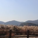 강화버스터미널 이미지