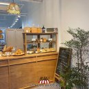 도우 | 사워도우 후기, 매일 먹는 빵으로 괜찮을까?