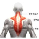 빽짐헬스 이미지