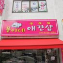 몽이네 애견샵 이미지