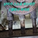 상무초밥 둔산직영점 이미지