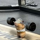 제이피트니스 이미지