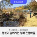 옥계초등학교 | [가을여행] 감성을 깨우는 추천 여행지 행복이 떨어지는 청라 은행마을