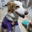 야호노래방 | 야호 스물아홉